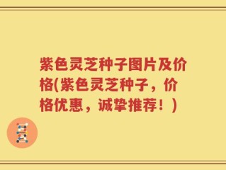 紫色灵芝种子图片及价格(紫色灵芝种子，价格优惠，诚挚推荐！)