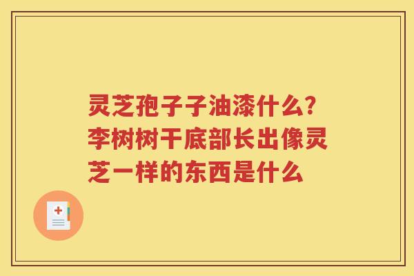 灵芝孢子子油漆什么？李树树干底部长出像灵芝一样的东西是什么