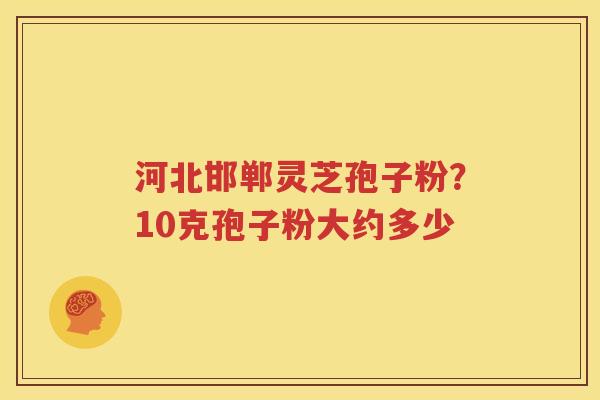 河北邯郸灵芝孢子粉？10克孢子粉大约多少