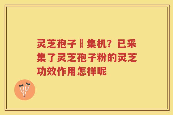 灵芝孢子釆集机?已采集了灵芝孢子粉的灵芝功效作用怎样呢 灵芝孢子釆集机?已采集了灵芝孢子粉的灵芝功效作用怎样呢