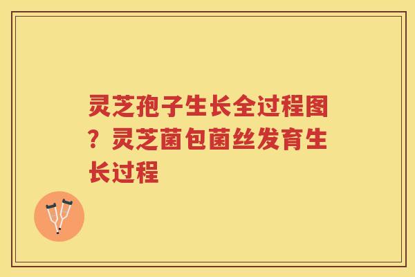 灵芝孢子生长全过程图？灵芝菌包菌丝发育生长过程