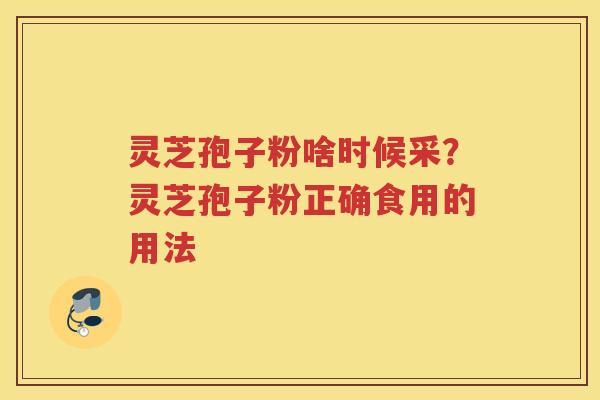 灵芝孢子粉啥时候采？灵芝孢子粉正确食用的用法
