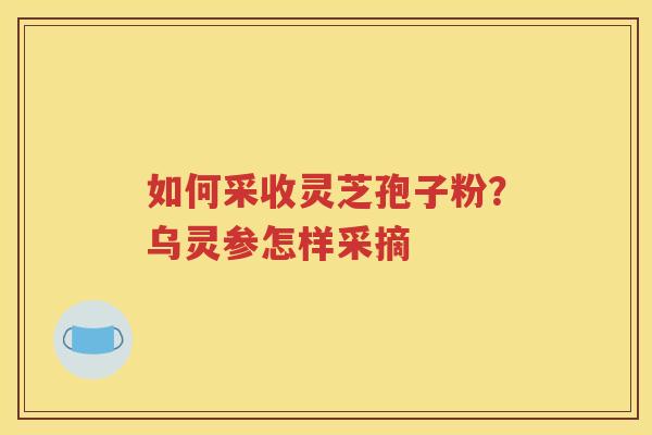 如何采收灵芝孢子粉？乌灵参怎样采摘