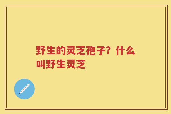 野生的灵芝孢子？什么叫野生灵芝