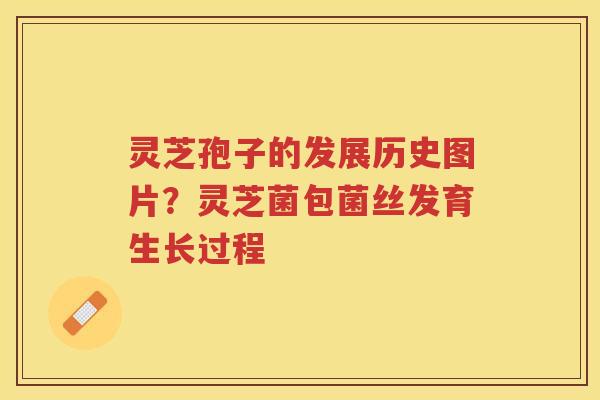 灵芝孢子的发展历史图片？灵芝菌包菌丝发育生长过程
