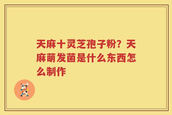 天麻十灵芝孢子粉？天麻萌发菌是什么东西怎么制作