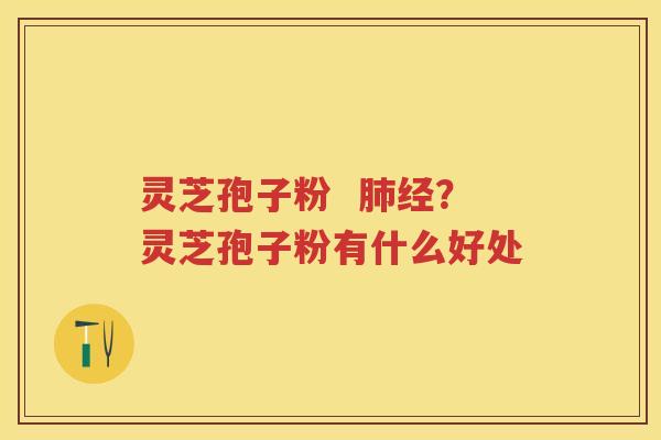 灵芝孢子粉  经？灵芝孢子粉有什么好处