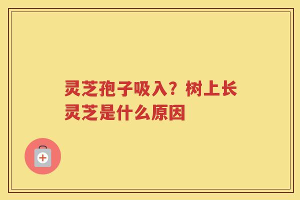 灵芝孢子吸入？树上长灵芝是什么原因