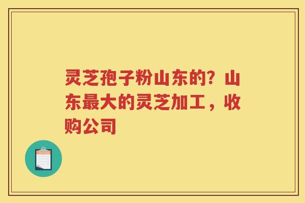 灵芝孢子粉山东的？山东大的灵芝加工，收购公司