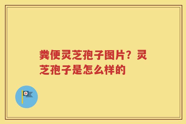 粪便灵芝孢子图片？灵芝孢子是怎么样的