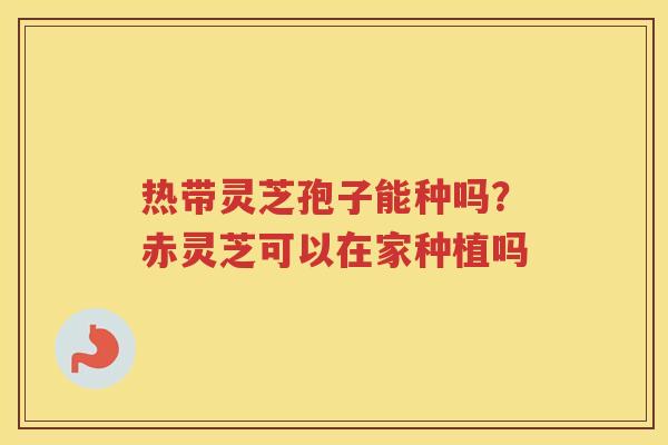 热带灵芝孢子能种吗?赤灵芝可以在家种植吗 热带灵芝孢子能种吗?赤灵芝可以在家种植吗