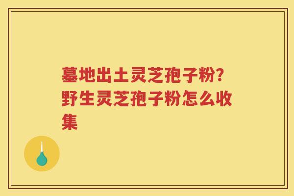 墓地出土灵芝孢子粉？野生灵芝孢子粉怎么收集