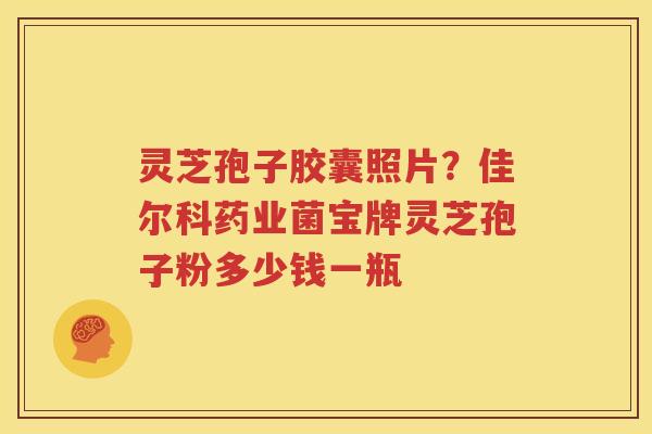 灵芝孢子胶囊照片？佳尔科药业菌宝牌灵芝孢子粉多少钱一瓶