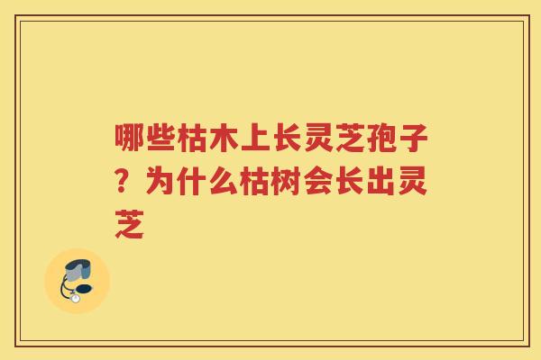 哪些枯木上长灵芝孢子?为什么枯树会长出灵芝 哪些枯木上长灵芝孢子?为什么枯树会长出灵芝