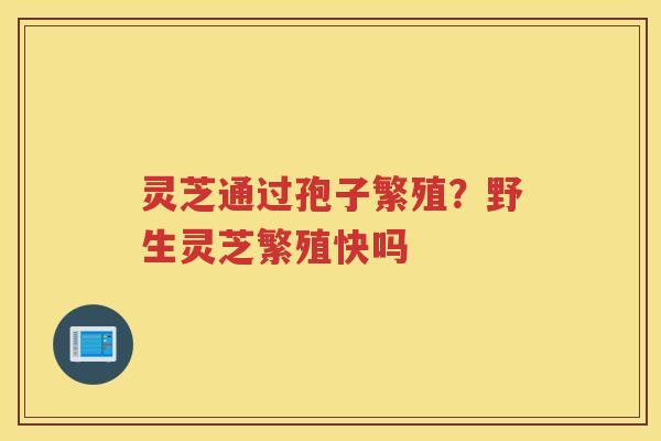 灵芝通过孢子繁殖？野生灵芝繁殖快吗