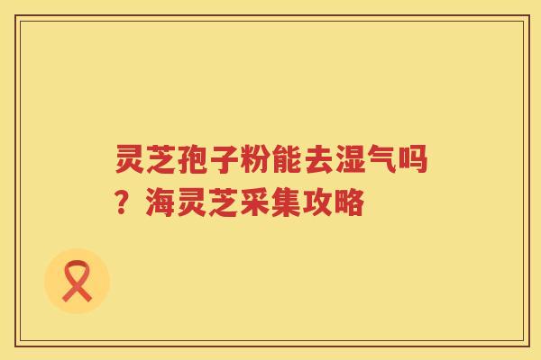 灵芝孢子粉能去湿气吗？海灵芝采集攻略