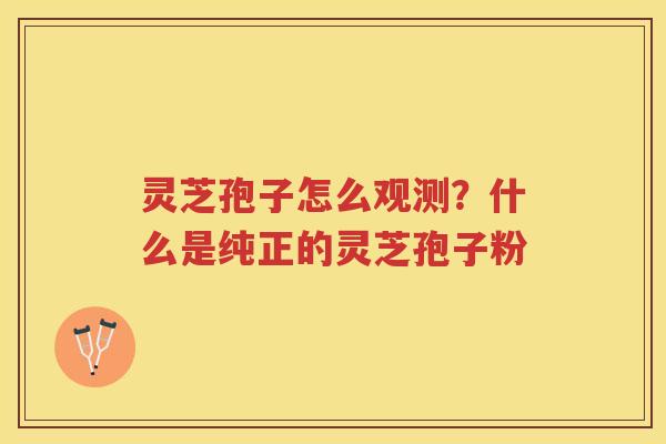 灵芝孢子怎么观测？什么是纯正的灵芝孢子粉