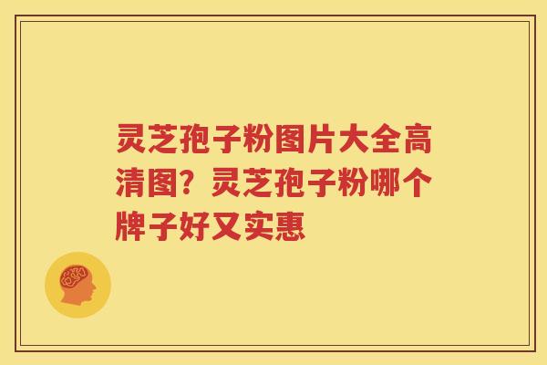 灵芝孢子粉图片大全高清图？灵芝孢子粉哪个牌子好又实惠