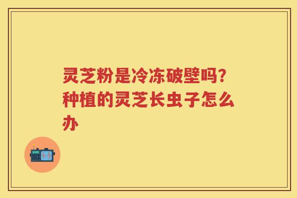 灵芝粉是冷冻破壁吗？种植的灵芝长虫子怎么办