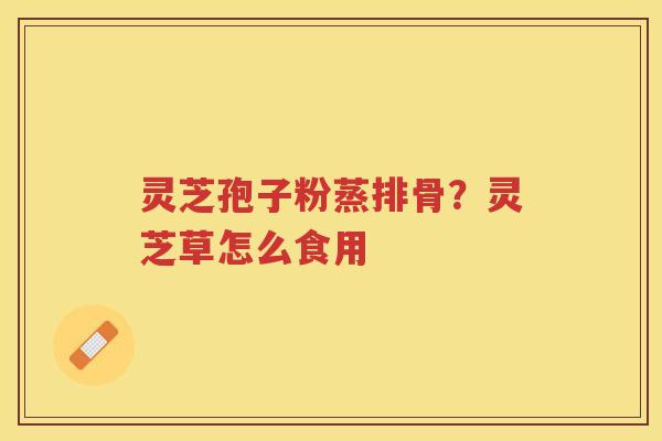 灵芝孢子粉蒸排骨？灵芝草怎么食用