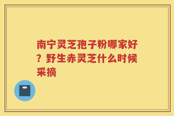 南宁灵芝孢子粉哪家好?野生赤灵芝什么时候采摘 南宁灵芝孢子粉哪家好?野生赤灵芝什么时候采摘