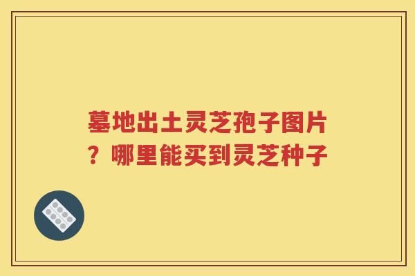 墓地出土灵芝孢子图片?哪里能买到灵芝种子 墓地出土灵芝孢子图片?哪里能买到灵芝种子