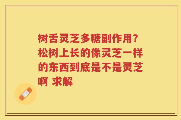 树舌灵芝多糖副作用？松树上长的像灵芝一样的东西到底是不是灵芝啊 求解
