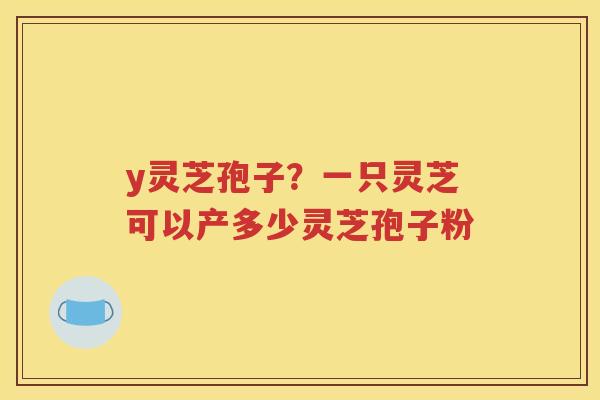 y灵芝孢子?一只灵芝可以产多少灵芝孢子粉 y灵芝孢子?一只灵芝可以产多少灵芝孢子粉
