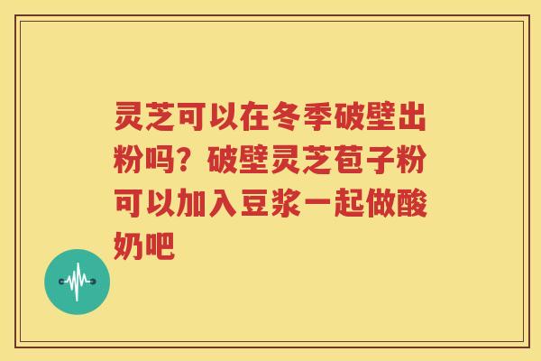 灵芝可以在冬季破壁出粉吗？破壁灵芝苞子粉可以加入豆浆一起做酸奶吧