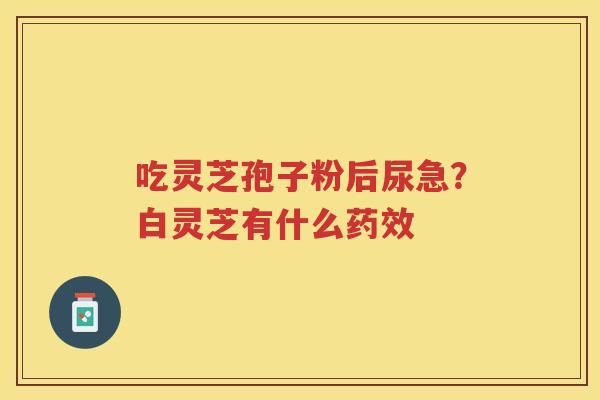 吃灵芝孢子粉后尿急？白灵芝有什么