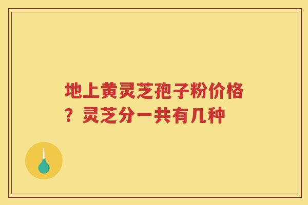 地上黄灵芝孢子粉价格？灵芝分一共有几种