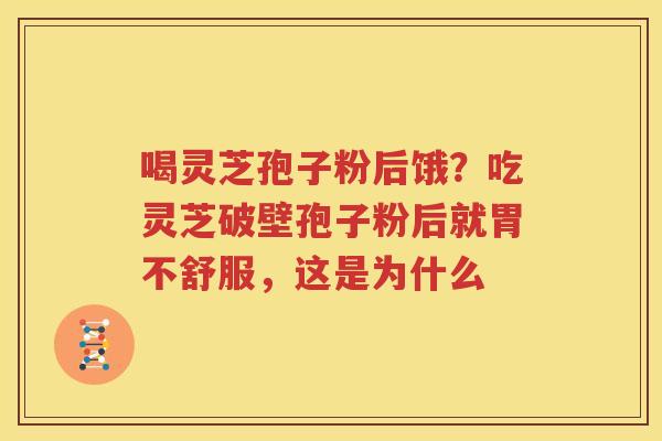 喝灵芝孢子粉后饿？吃灵芝破壁孢子粉后就胃不舒服，这是为什么
