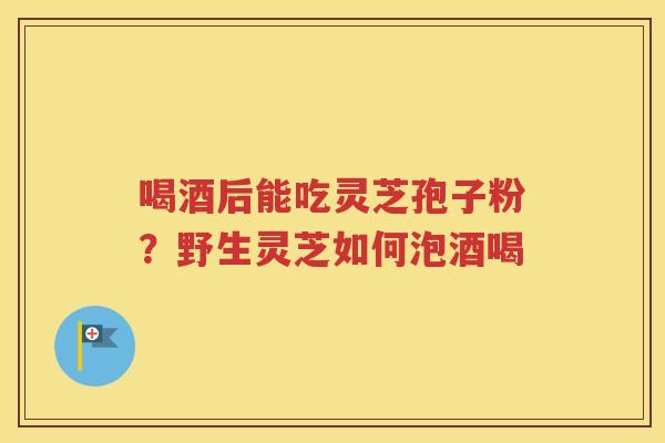 喝酒后能吃灵芝孢子粉？野生灵芝如何泡酒喝