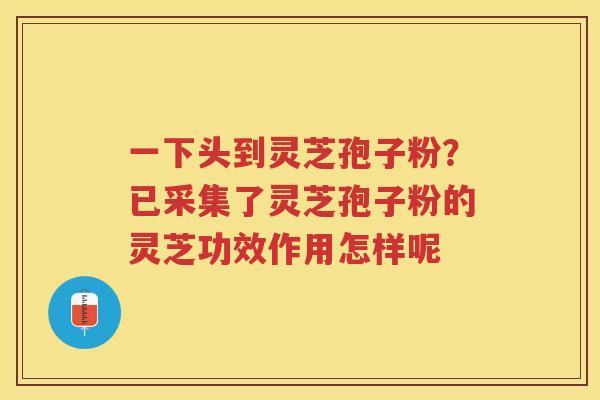 一下头到灵芝孢子粉？已采集了灵芝孢子粉的灵芝功效作用怎样呢