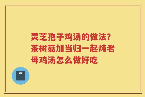 灵芝孢子鸡汤的做法？茶树菇加当归一起炖老母鸡汤怎么做好吃
