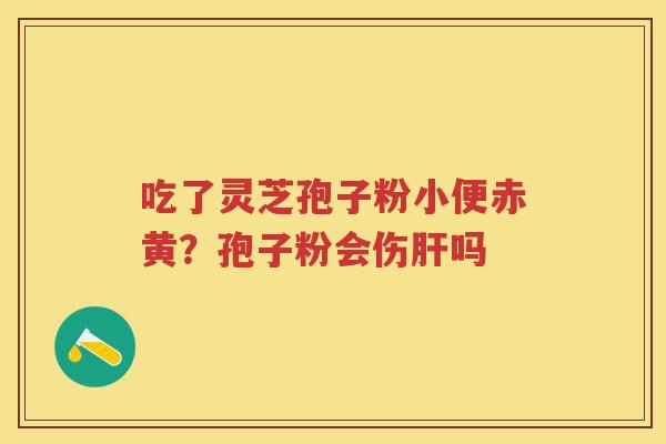 吃了灵芝孢子粉小便赤黄？孢子粉会伤吗