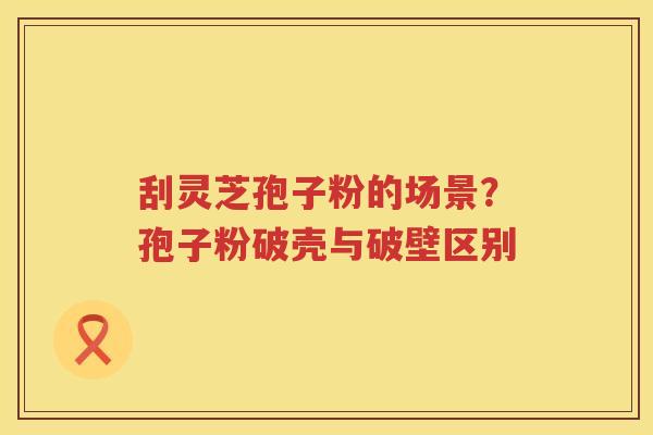 刮灵芝孢子粉的场景？孢子粉破壳与破壁区别