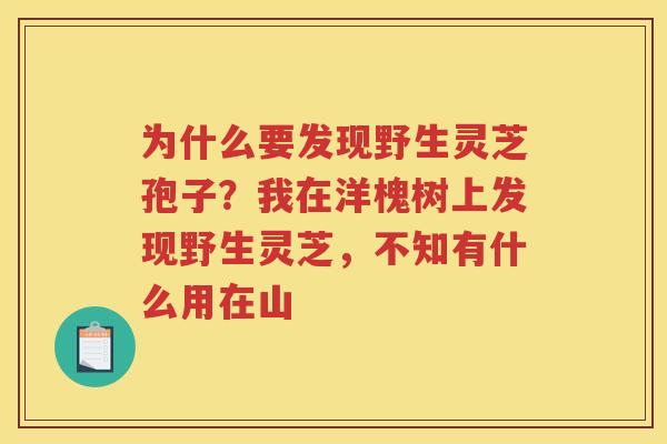 为什么要发现野生灵芝孢子？我在洋槐树上发现野生灵芝，不知有什么用在山