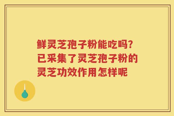 鲜灵芝孢子粉能吃吗？已采集了灵芝孢子粉的灵芝功效作用怎样呢