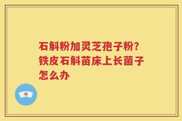 石斛粉加灵芝孢子粉？铁皮石斛苗床上长菌子怎么办