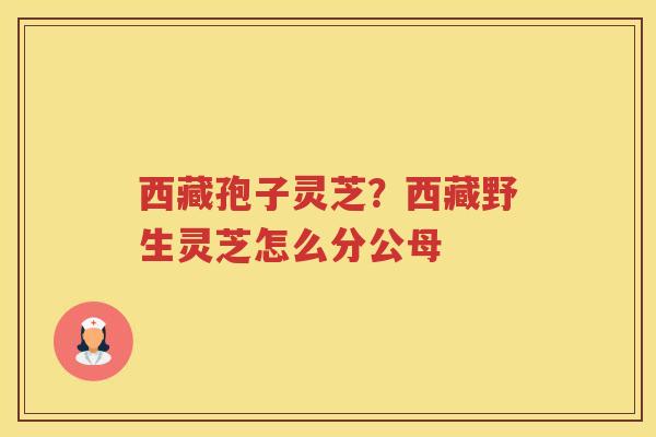 西藏孢子灵芝？西藏野生灵芝怎么分公母
