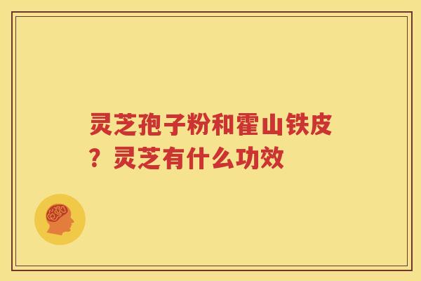 灵芝孢子粉和霍山铁皮？灵芝有什么功效