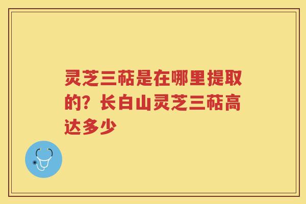 灵芝三萜是在哪里提取的？长白山灵芝三萜高达多少