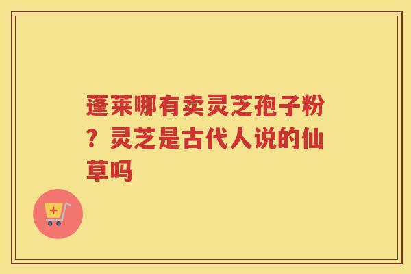 蓬莱哪有卖灵芝孢子粉?灵芝是古代人说的仙草吗 蓬莱哪有卖灵芝孢子粉?灵芝是古代人说的仙草吗
