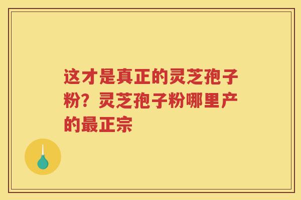 这才是真正的灵芝孢子粉？灵芝孢子粉哪里产的正宗