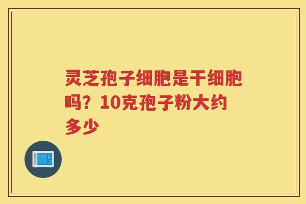 灵芝孢子细胞是干细胞吗？10克孢子粉大约多少