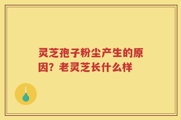 灵芝孢子粉尘产生的原因?老灵芝长什么样 灵芝孢子粉尘产生的原因?老灵芝长什么样