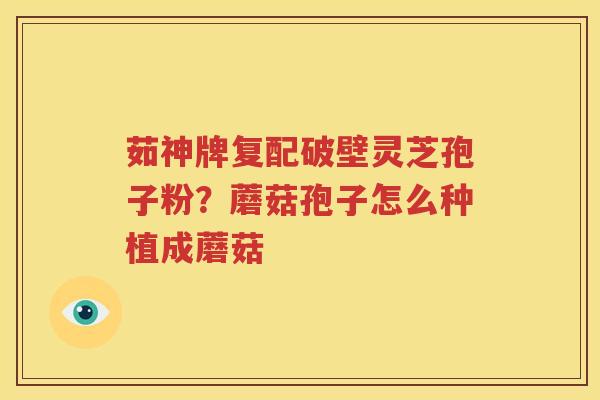 茹神牌复配破壁灵芝孢子粉?蘑菇孢子怎么种植成蘑菇 茹神牌复配破壁灵芝孢子粉?蘑菇孢子怎么种植成蘑菇