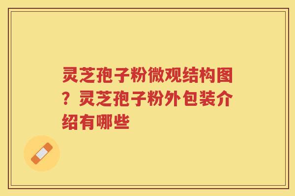 灵芝孢子粉微观结构图？灵芝孢子粉外包装介绍有哪些
