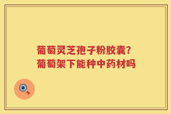 葡萄灵芝孢子粉胶囊？葡萄架下能种材吗